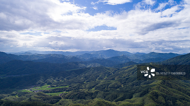 丽水森林青山绿色梯田图片素材