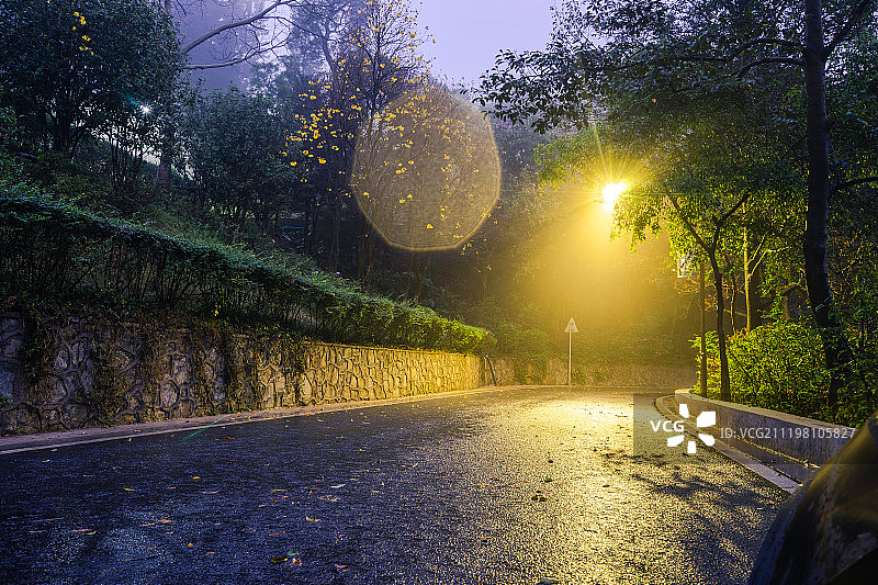 广东广州白云山雨后的森林道路图片素材