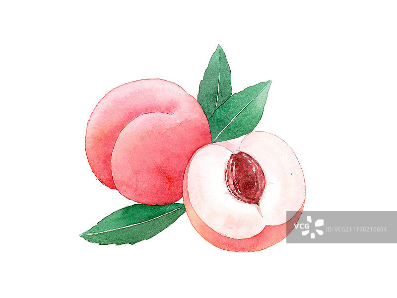 看见水果系列插画水蜜桃图片素材