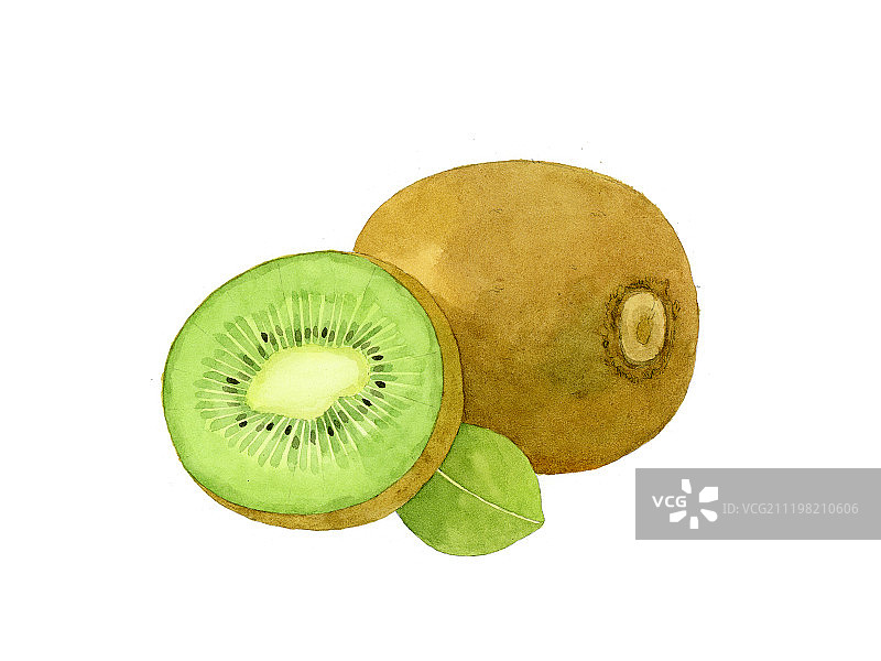 看见水果系列插画猕猴桃图片素材