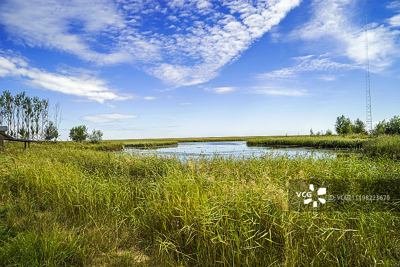 湿地风光图片素材