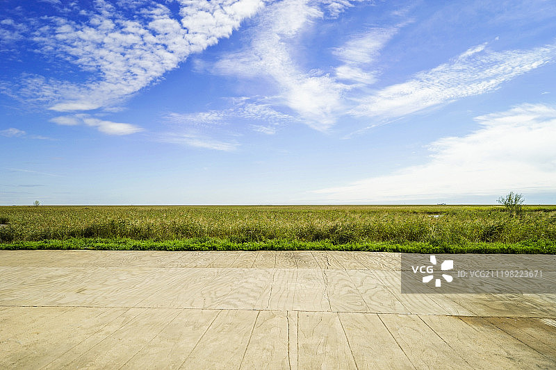 湿地公园的木板路图片素材
