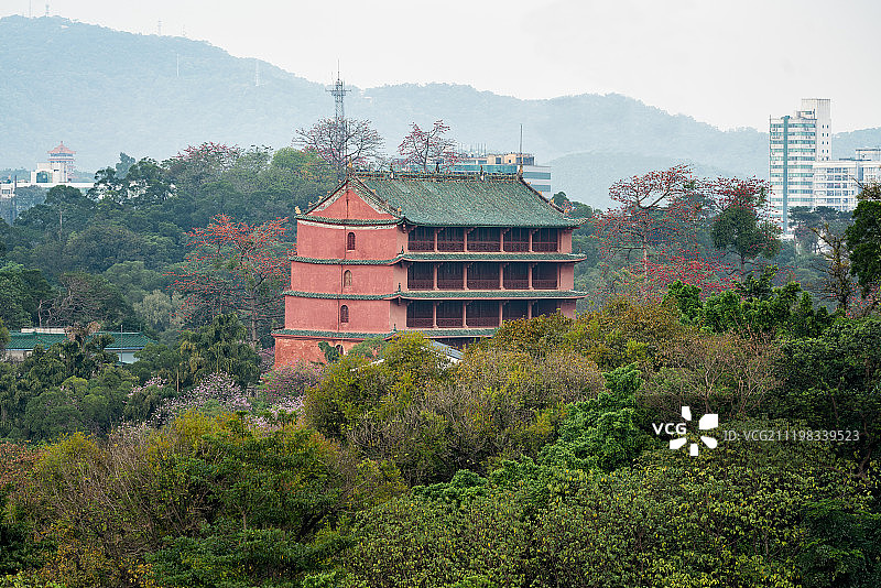 镇海楼 木棉花 越秀山图片素材