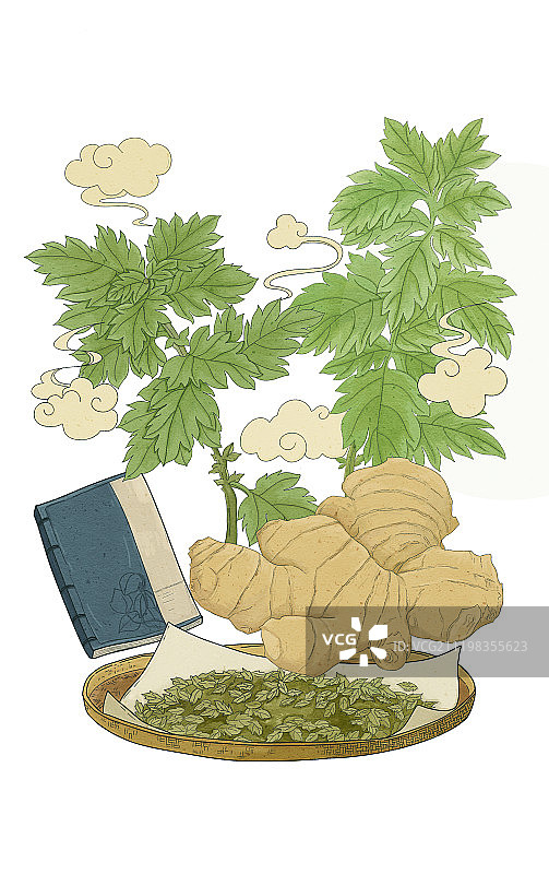 古风艾草足贴插画图片素材
