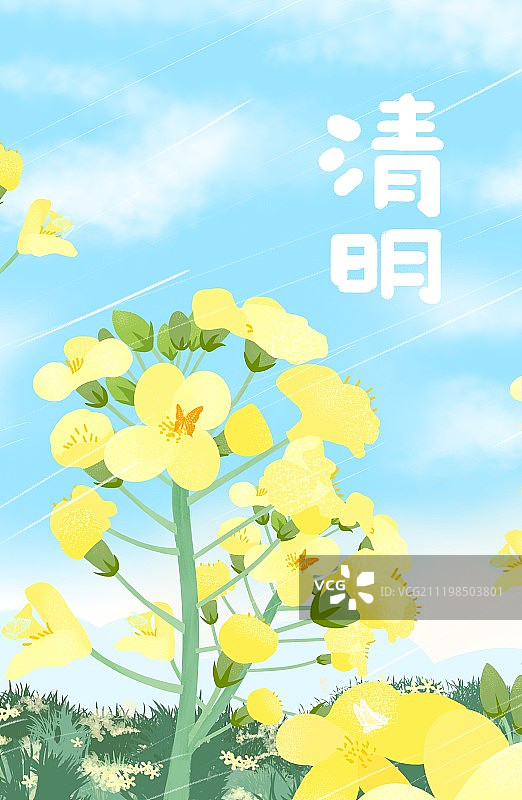 二十四节气清明插画油菜花图片素材