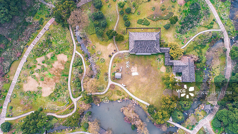 杭州余杭塘栖镇超山梅花图片素材