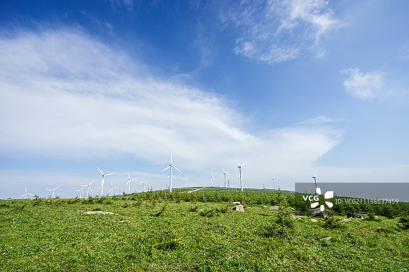 高山草甸图片素材