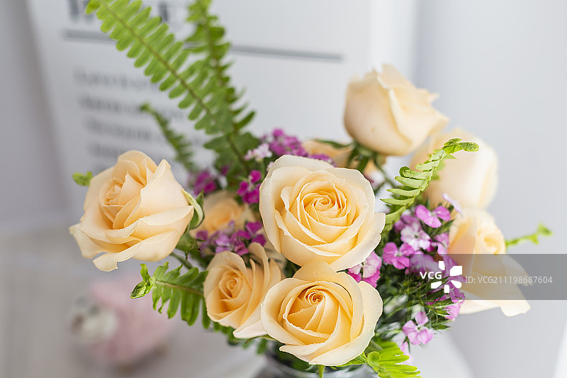 清晨阳光下的鲜花图片素材