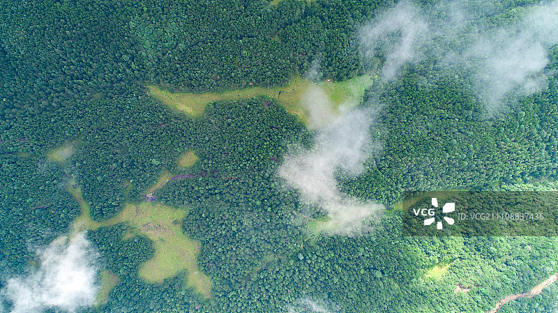 浙江丽水庆元黄皮湿地图片素材