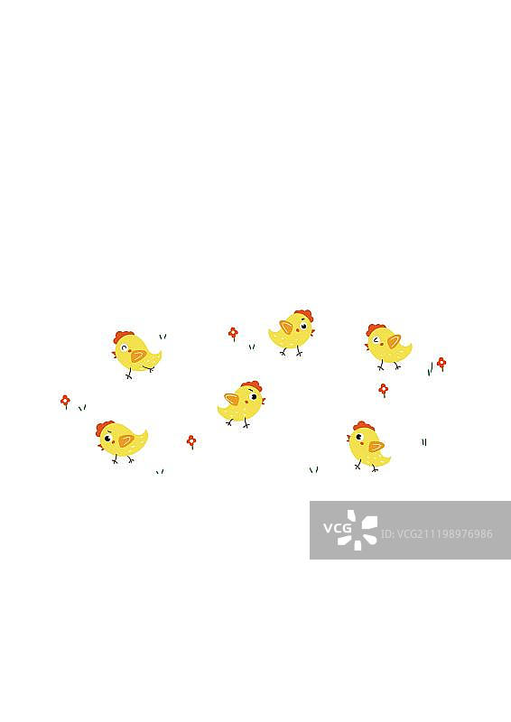 一群可爱的小鸡仔图片素材