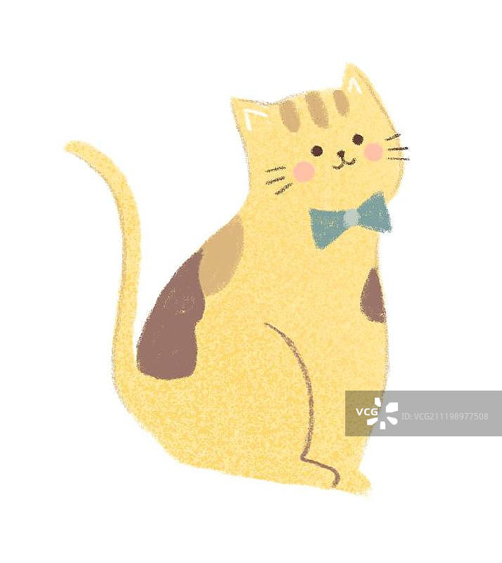 黄色小猫咪图片素材