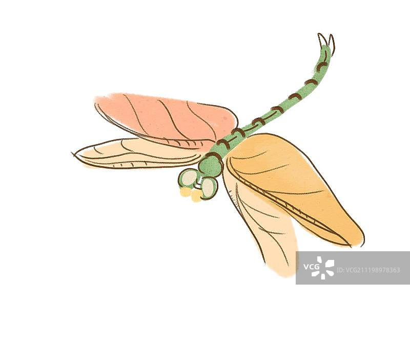 一只蜻蜓图片素材