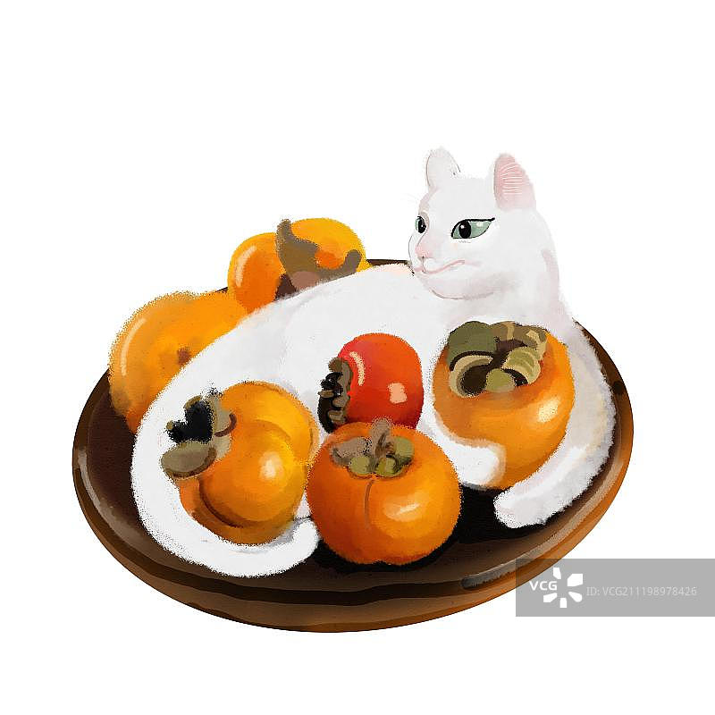 柿子与猫图片素材