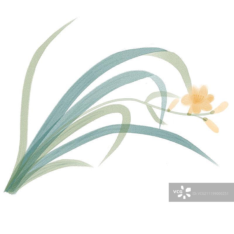 古风手绘的兰花图片素材