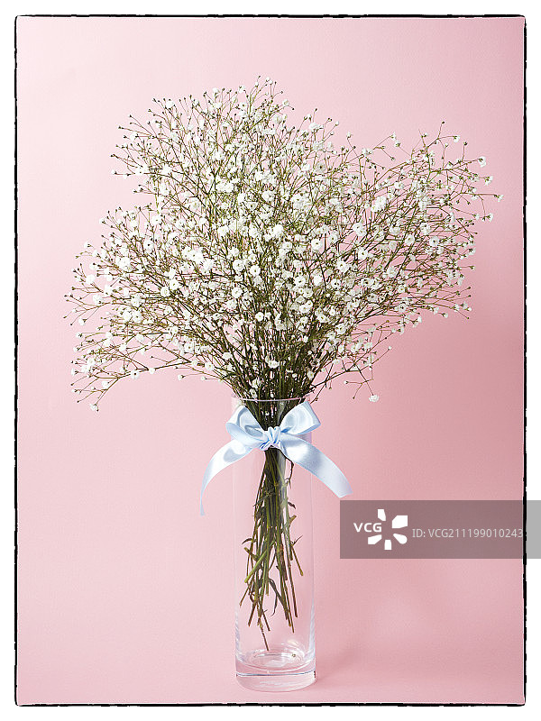 饮水玻璃杯中的花朵摄影作品图片素材