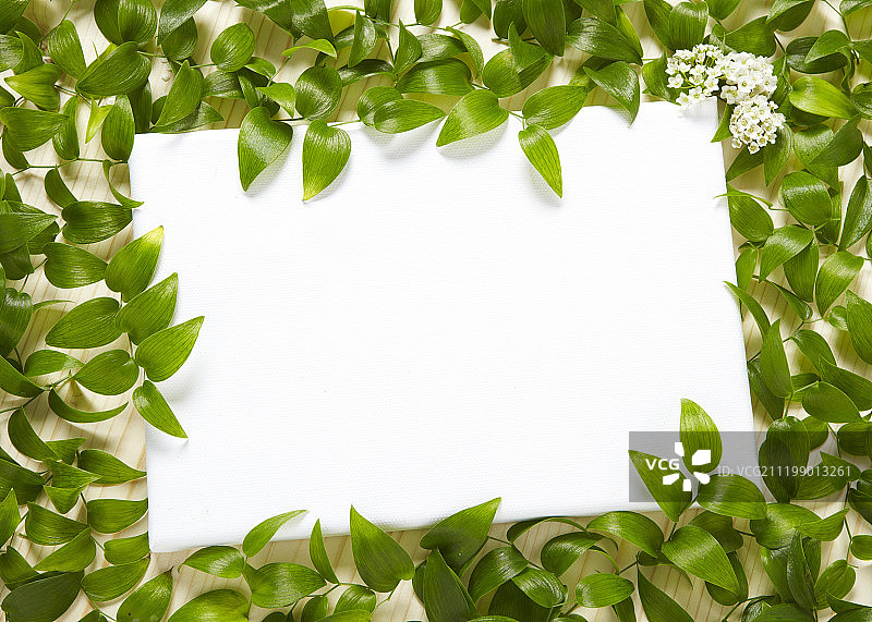 植物装饰画框摄影图片素材