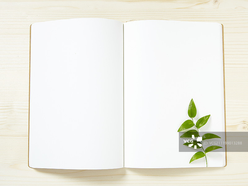 带有植物装饰的广告牌摄影图片素材