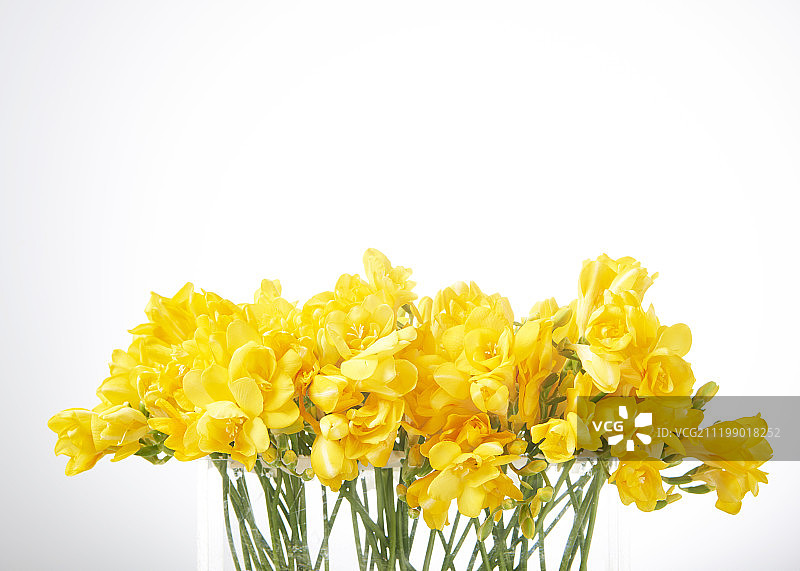 瓶子里的花朵摄影图片素材