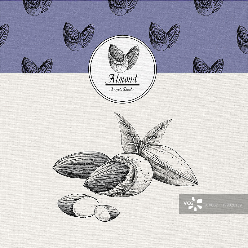 坚果主题海报设计图片素材