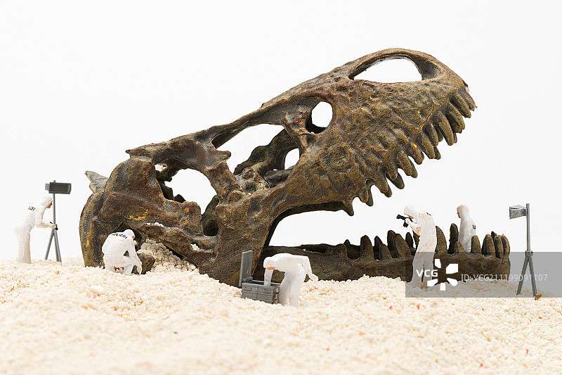 考古勘探侦破恐龙头骨发现图片素材