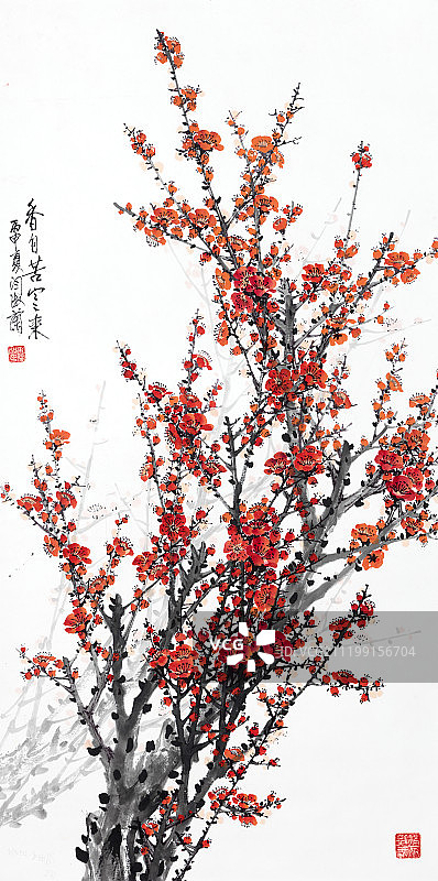 中国绘画——梅花图片素材