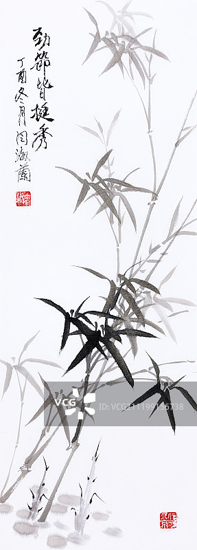 中国绘画——竹图片素材