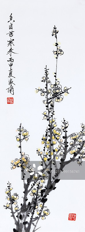 中国绘画——梅花图片素材