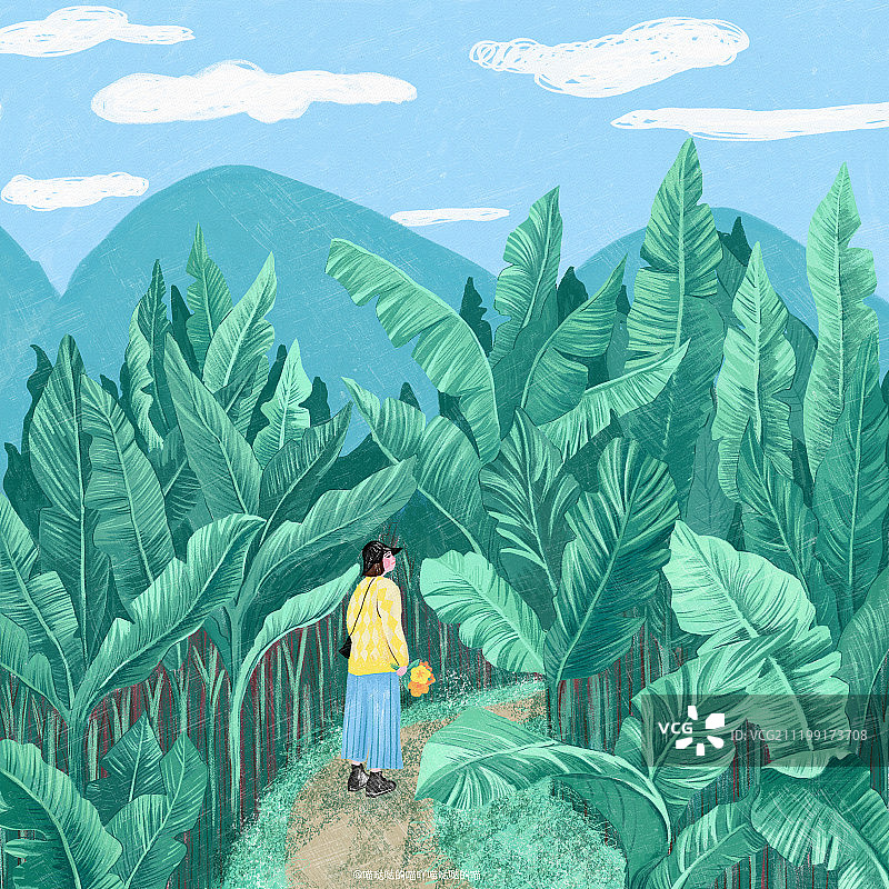 芭蕉园图片素材