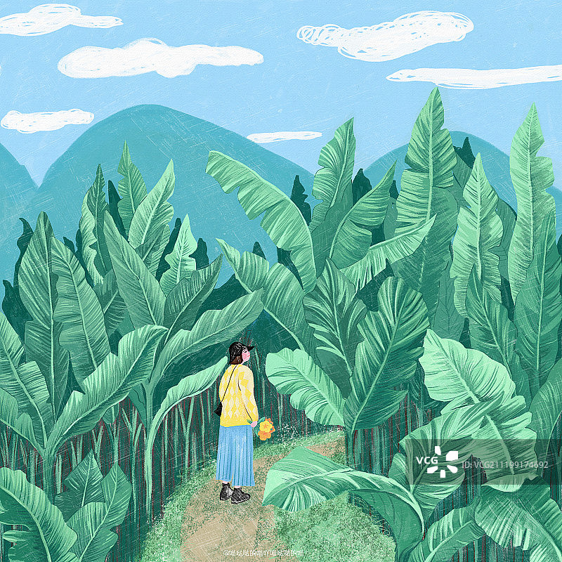 芭蕉园图片素材