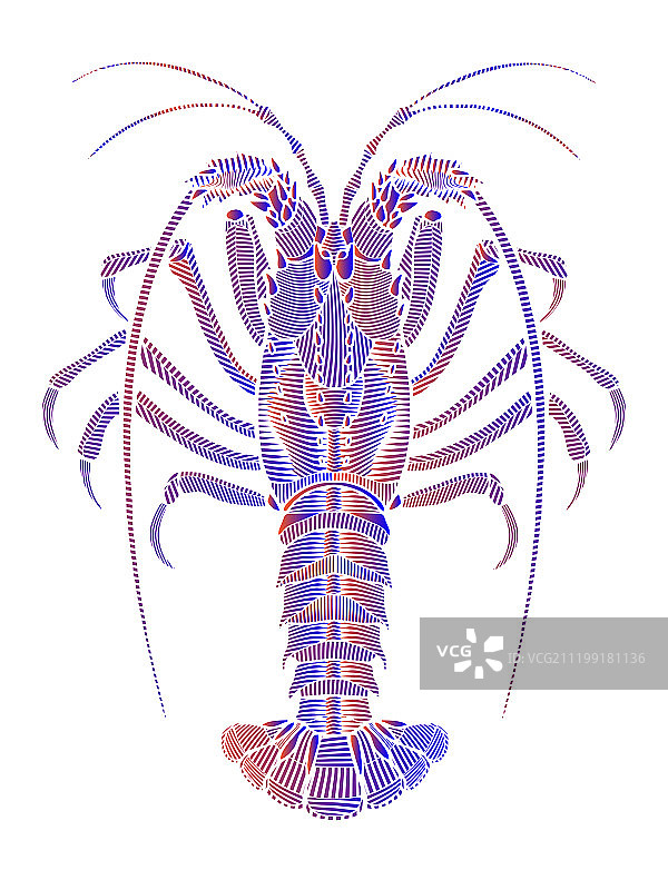 抽象动物图片素材