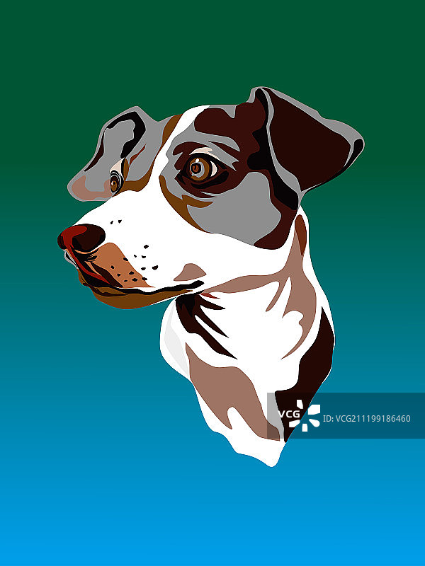 小猎犬图片素材