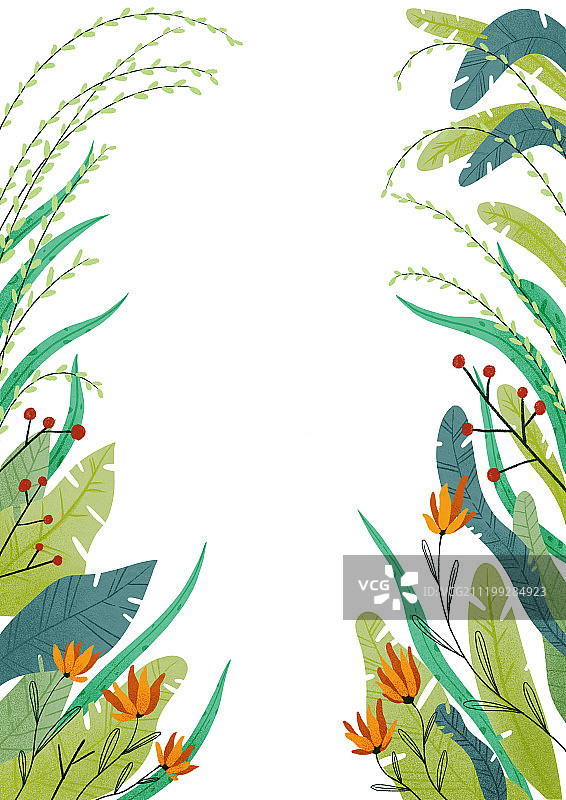 植物花边图片素材