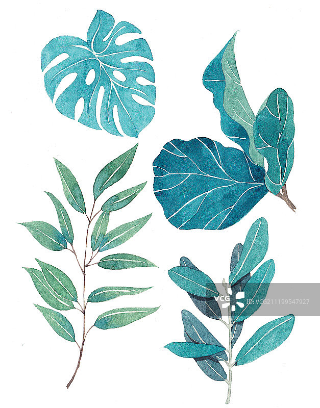 植物绿叶素材水彩插画素材图图片素材