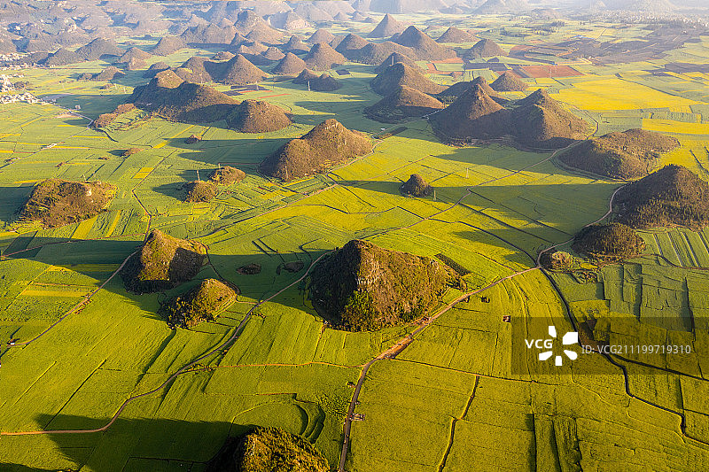 云南罗平油菜花基地图片素材