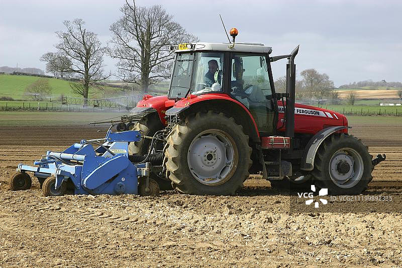 马赛·弗格森拖拉机在英国多塞特郡为色拉菠菜作物准备田地,后方有喷灌设施图片素材