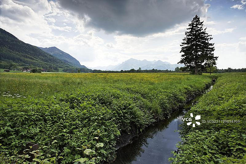 德国上巴伐利亚基姆高地区阿亨塔尔溪流景观图片素材