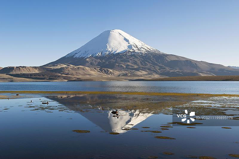 联合国教科文组织生物圈保护区劳卡国家公园：丘恩加拉湖中倒映的帕里纳科塔火山图片素材