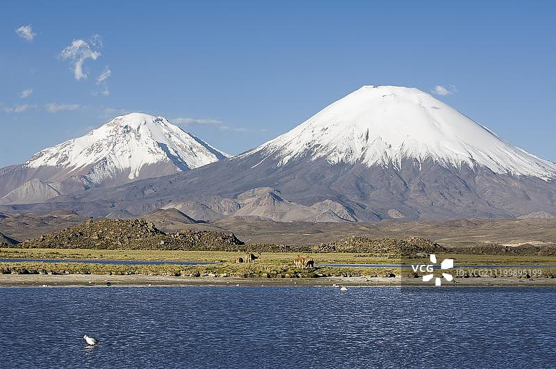 帕里纳科塔火山和波梅拉佩火山，劳卡国家公园，联合国教科文组织生物圈保护区，阿里卡和帕里纳科塔地区，智利，南美洲图片素材