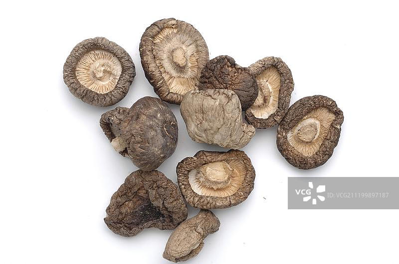 香菇，食用菌，药用菌图片素材