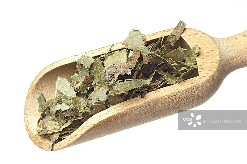 中药材淫羊藿干叶图片素材