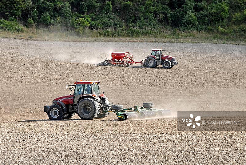 钻孔和滚动“克莱尔”小麦，尘土飞扬的苗床，奇尔tern，沙彭霍，贝德福德郡，英格兰，英国，欧洲图片素材