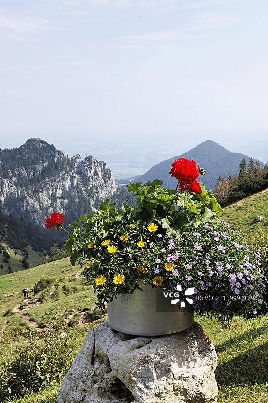 基姆高阿尔卑斯山坎彭万德上的花盆，德国上巴伐利亚州，欧洲图片素材