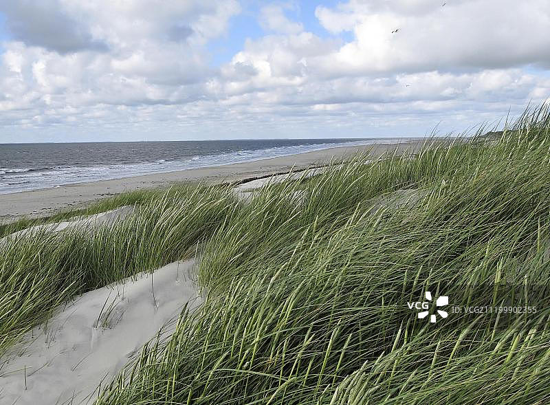 德国石勒苏益格-荷尔斯泰因州阿姆鲁姆岛上的沙丘草和海滩图片素材