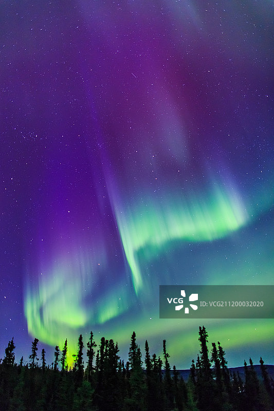 阿拉斯加的北极光图片素材