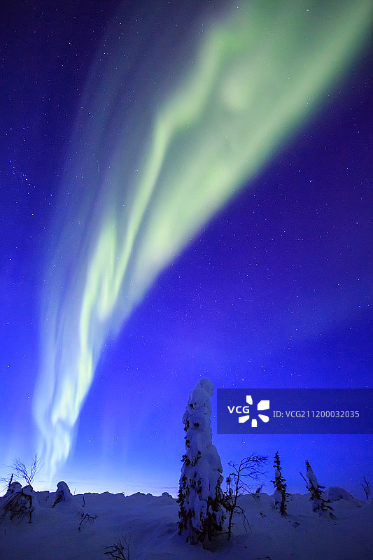 阿拉斯加的北极光图片素材