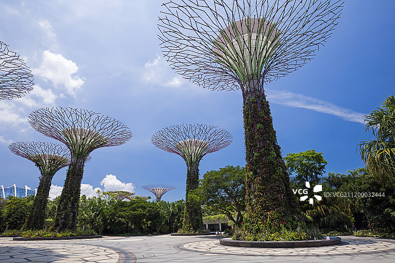 新加坡图片素材