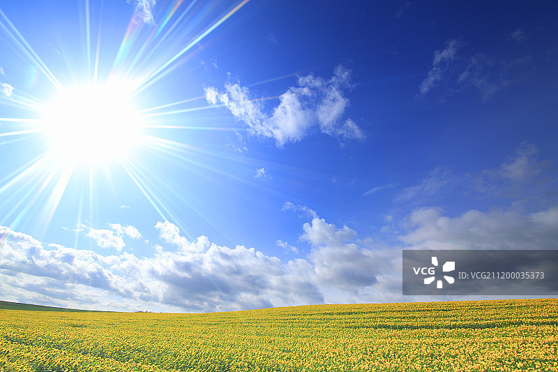 日本北海道图片素材