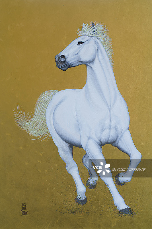 马插画图片素材