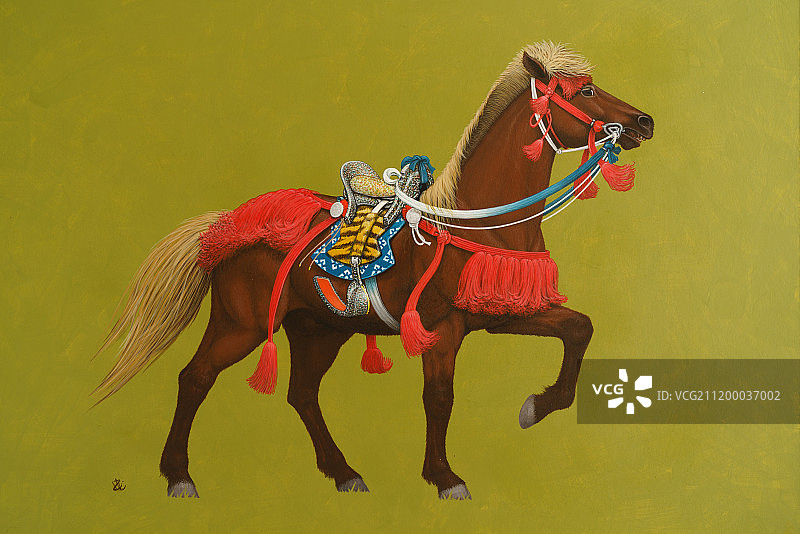 马插画图片素材