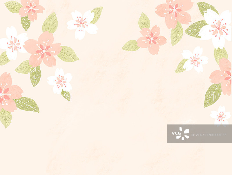 春天樱花背景图片素材